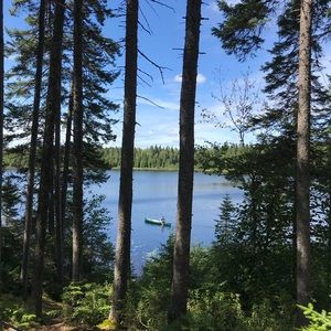 Meet your Posher, Valerie